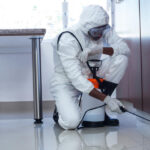 pest control services