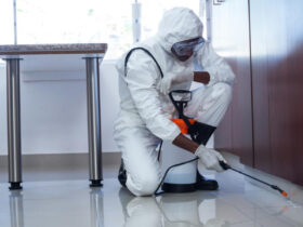 pest control services